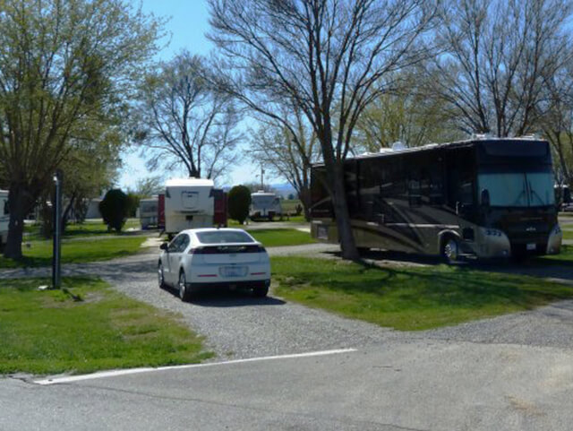 Willows Mobile Home & RV Park - gallery image